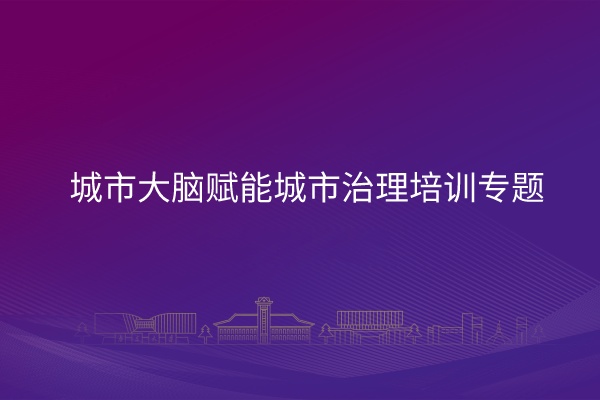 城市大脑赋能城市治理培训专题