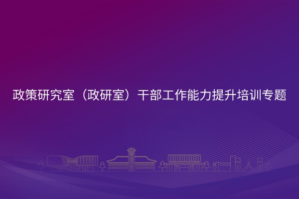 政策研究室（政研室）干部工作能力提升培训专题