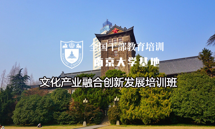 南京大学文化产业融合创新发展培训班